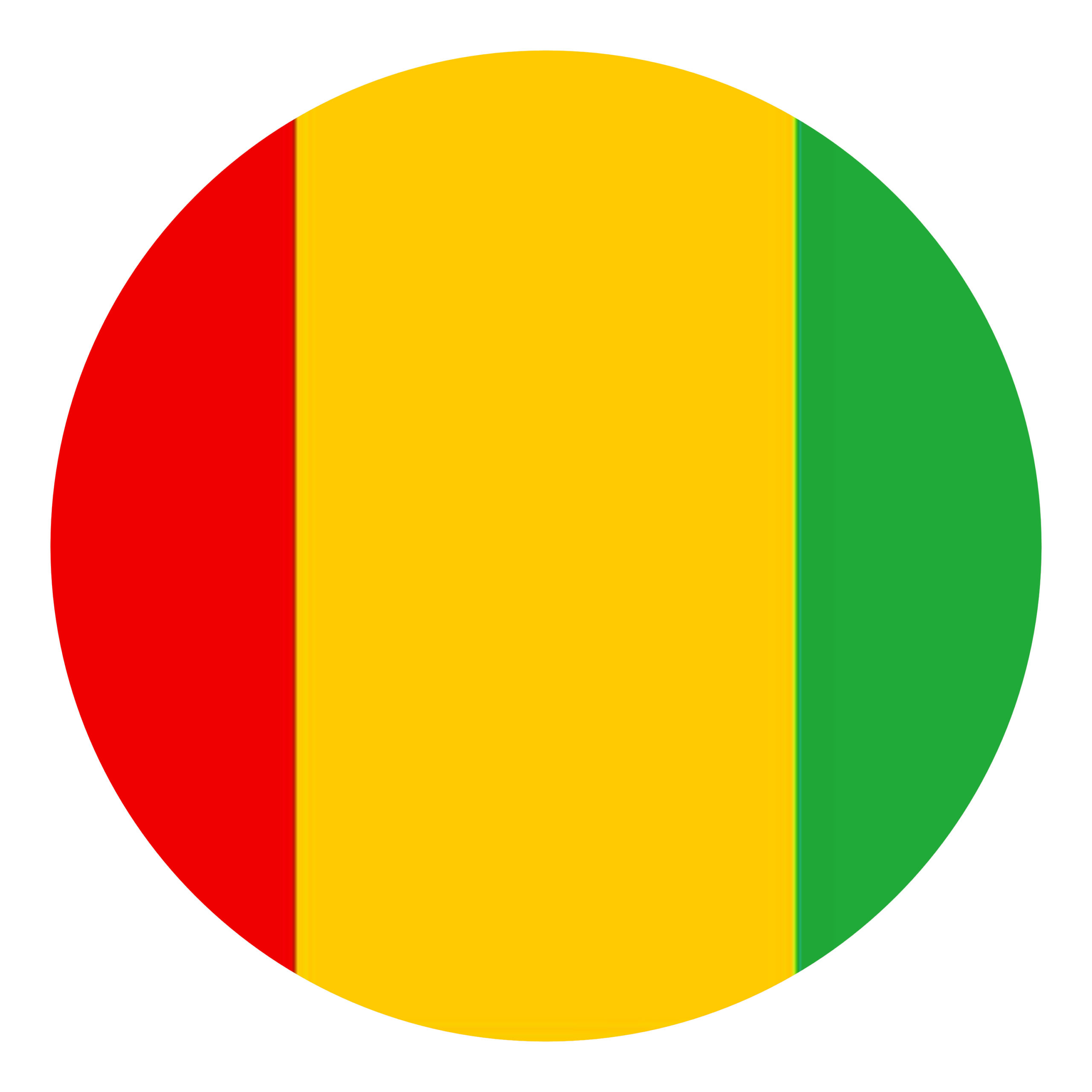 Accueil guinee1