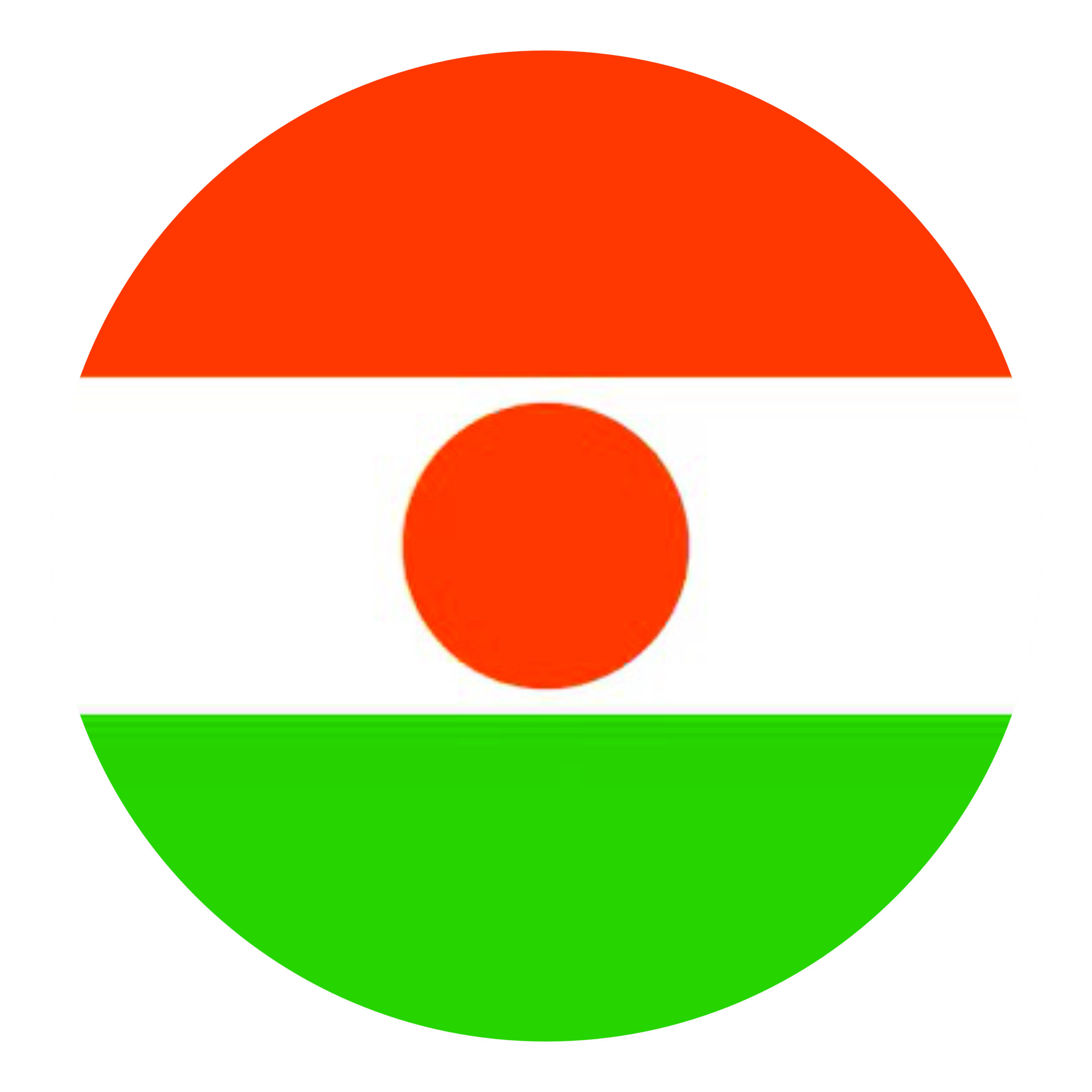 Accueil niger1